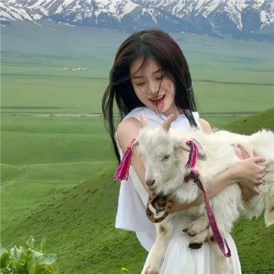 恐龙物语: 回到未来